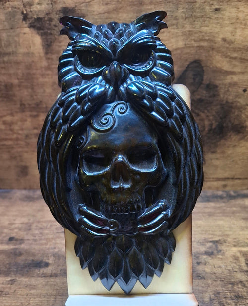 Black Owl with Skull
