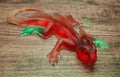 Orange, Green & Yellow Baby Lizard