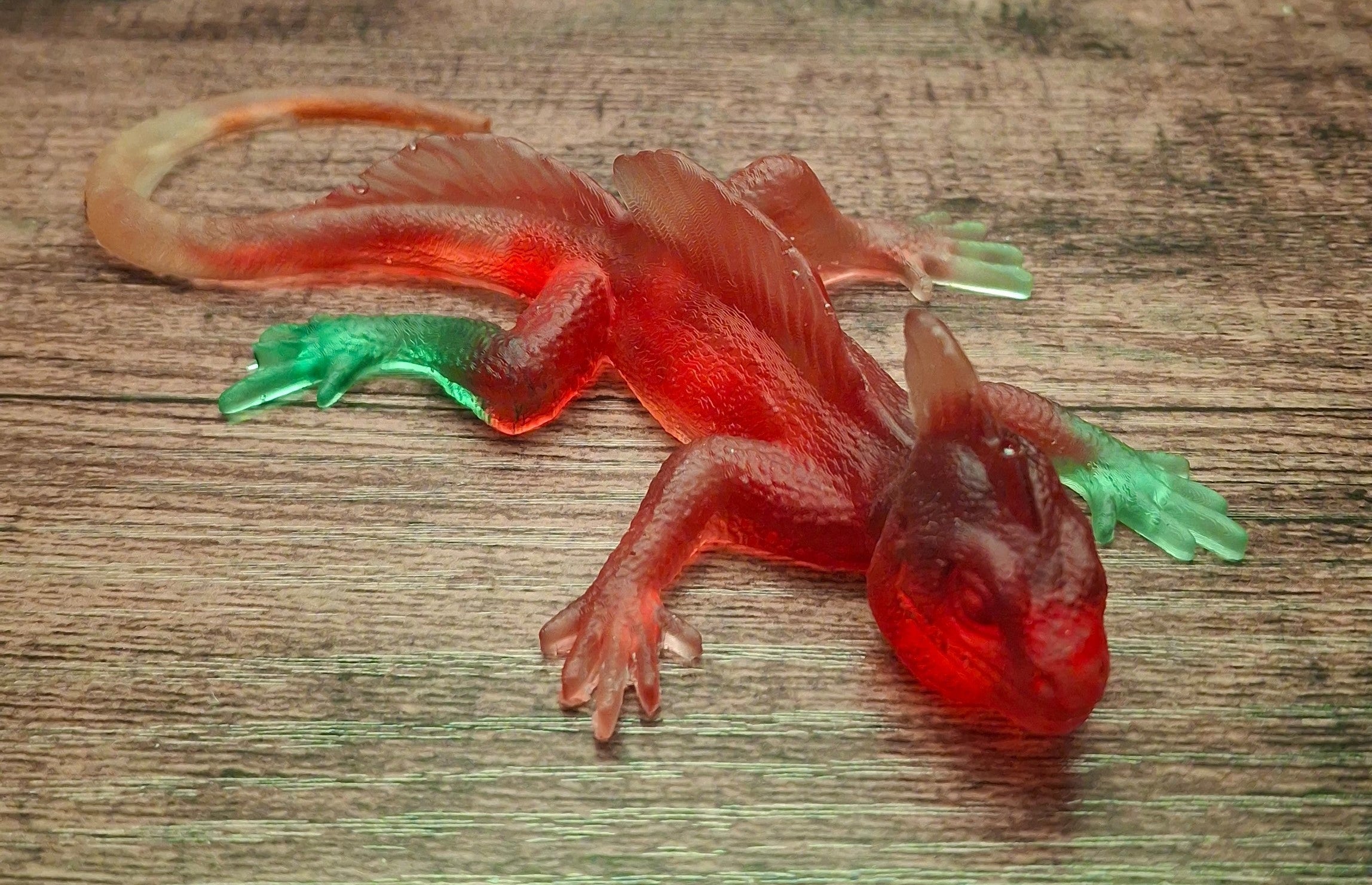 Orange, Green & Yellow Baby Lizard