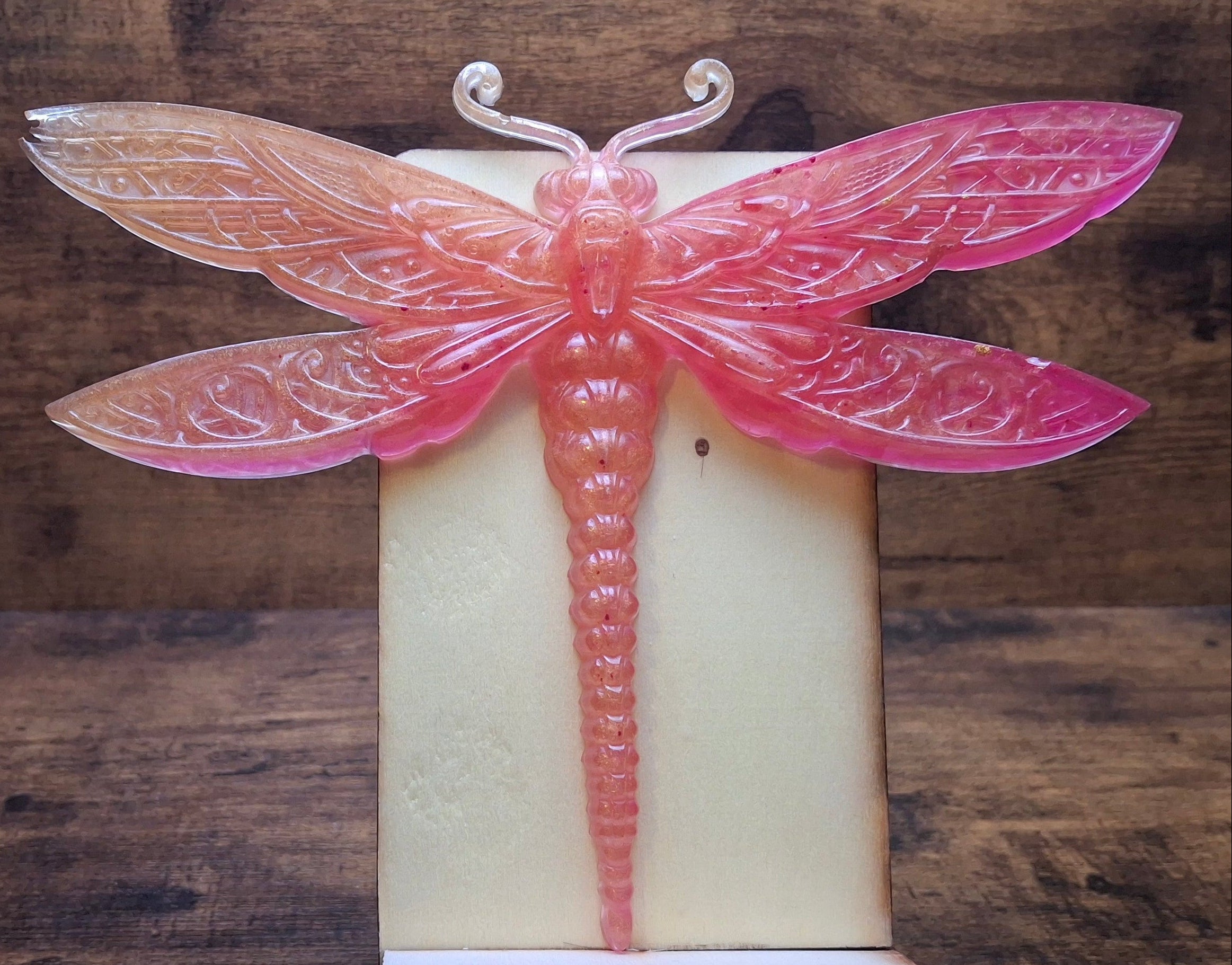 Pink & Orange Dragonfly