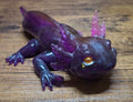 Purple Axolotl with Yellow Eyes