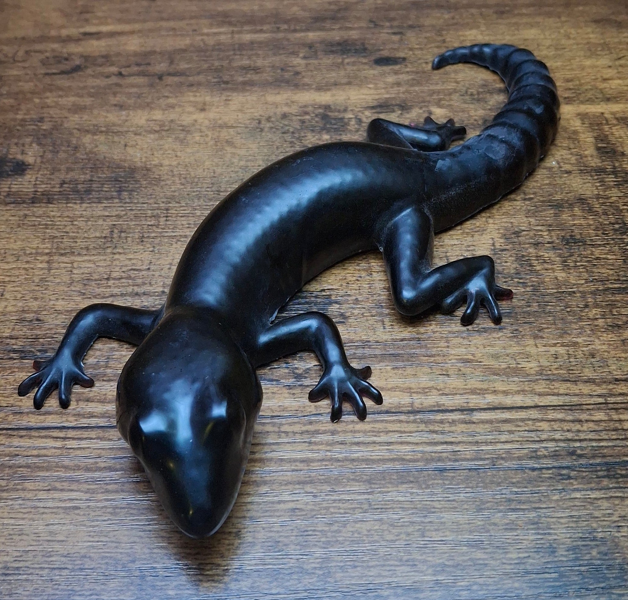 Black Big Lizard