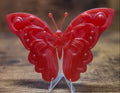 Solid Pink Baby Butterfly